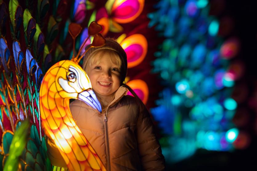 DublinZoo_WildLights04