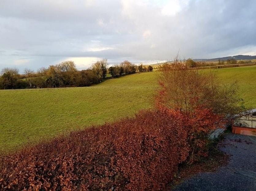 Longstone Ballymore Eustace 5