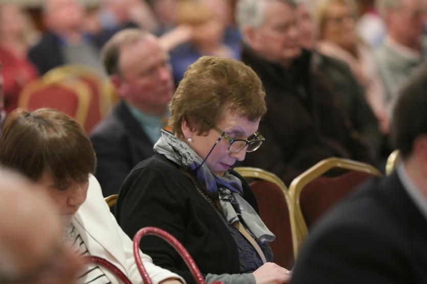 FiannaFail_KildareConvention10