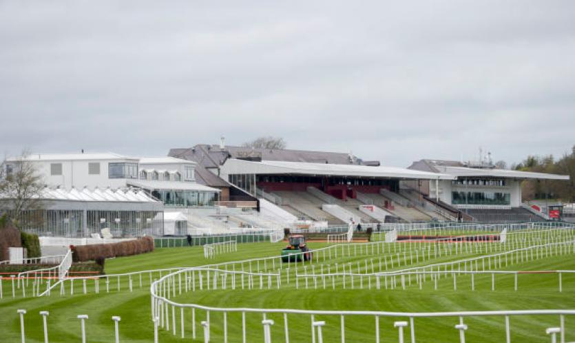 Punchestown Preview pic by Michael Chester