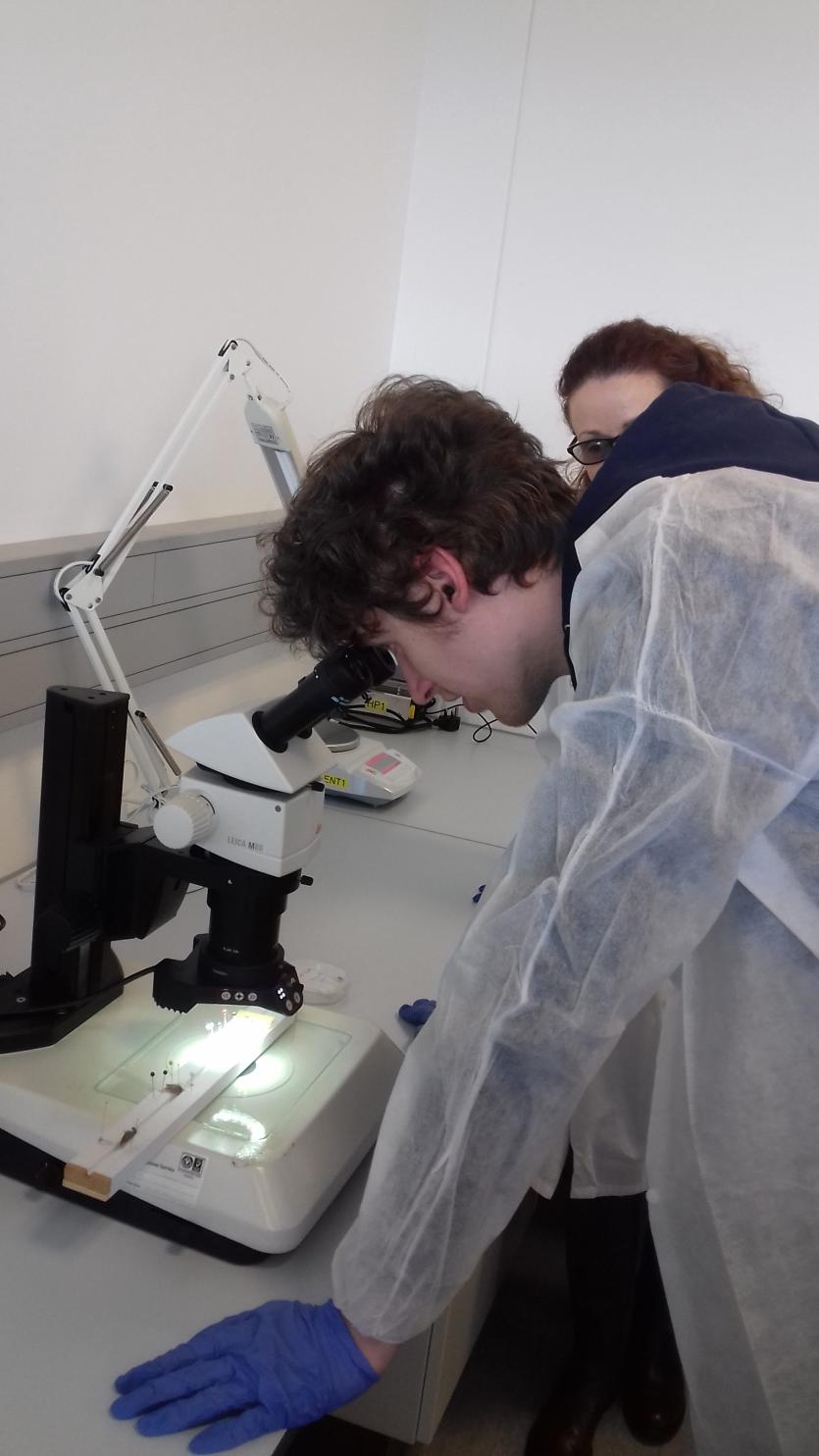 Sean Mc Parland and Sinead Kelly Dept of agriculture