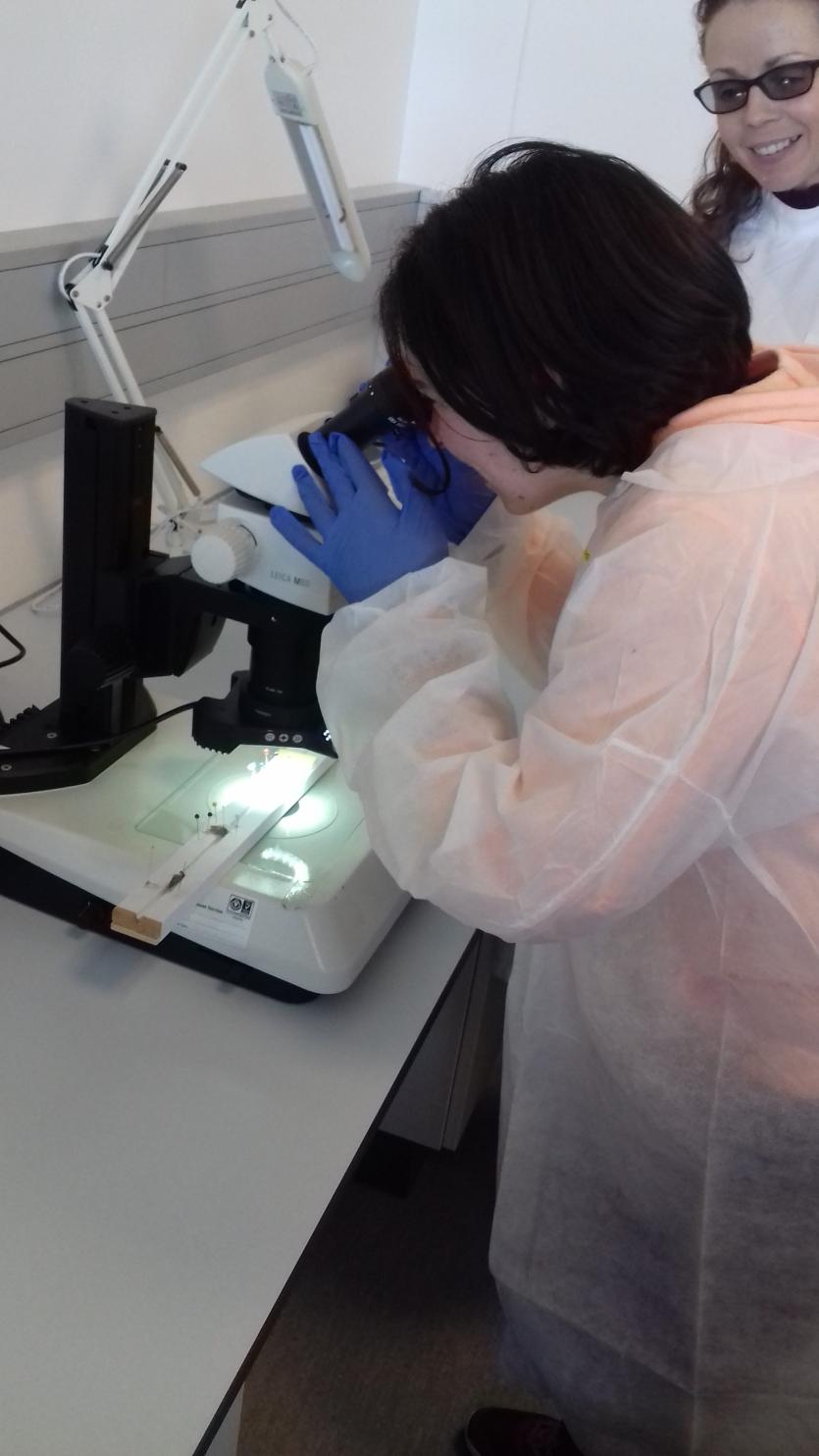 Karen O Reilly and Sinead Kelly Dept of agriculture