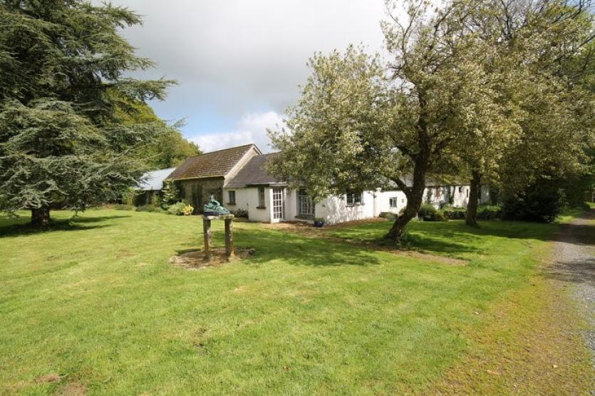 Downings Prosperous 5