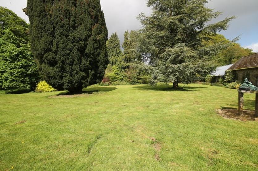 Downings Prosperous 6