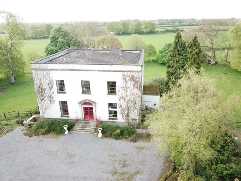 Downings Prosperous 7