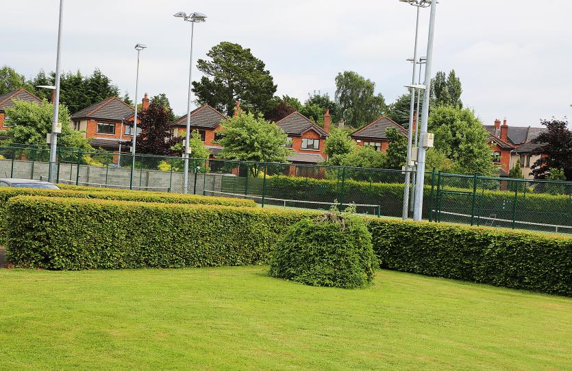 Naas Lawn Tennis Club