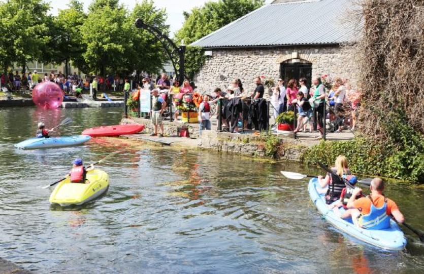 MID SUMMER ARTS FESTIVAL NAAS (51)