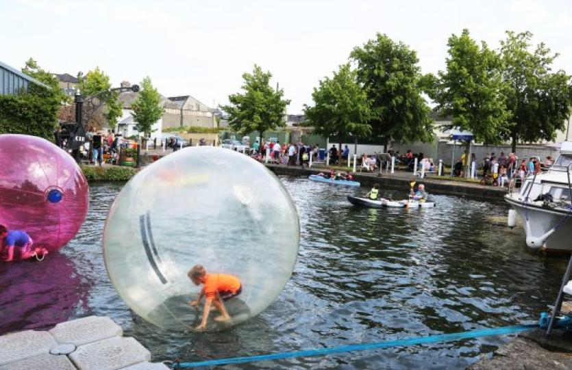 MID SUMMER ARTS FESTIVAL NAAS (68)