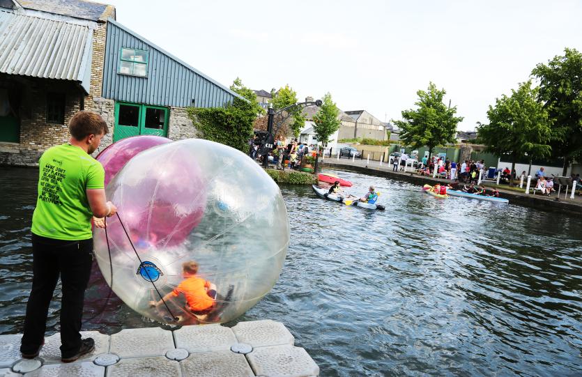 MID SUMMER ARTS FESTIVAL NAAS (69)