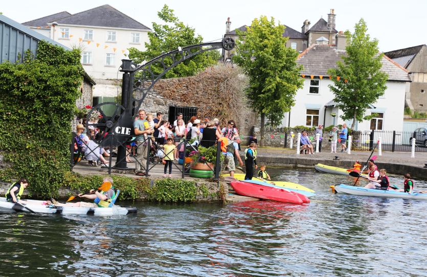 MID SUMMER ARTS FESTIVAL NAAS (71)