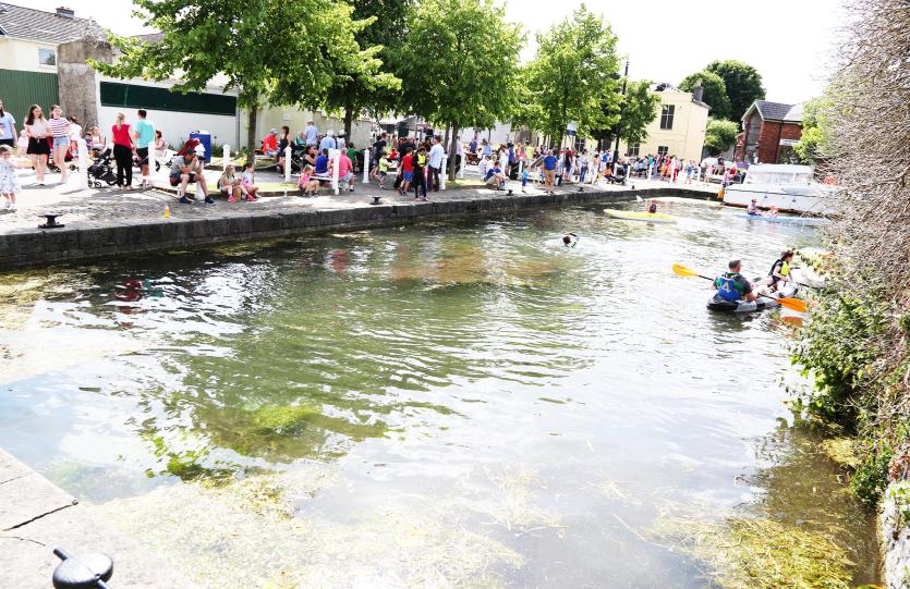 MID SUMMER ARTS FESTIVAL NAAS (74)