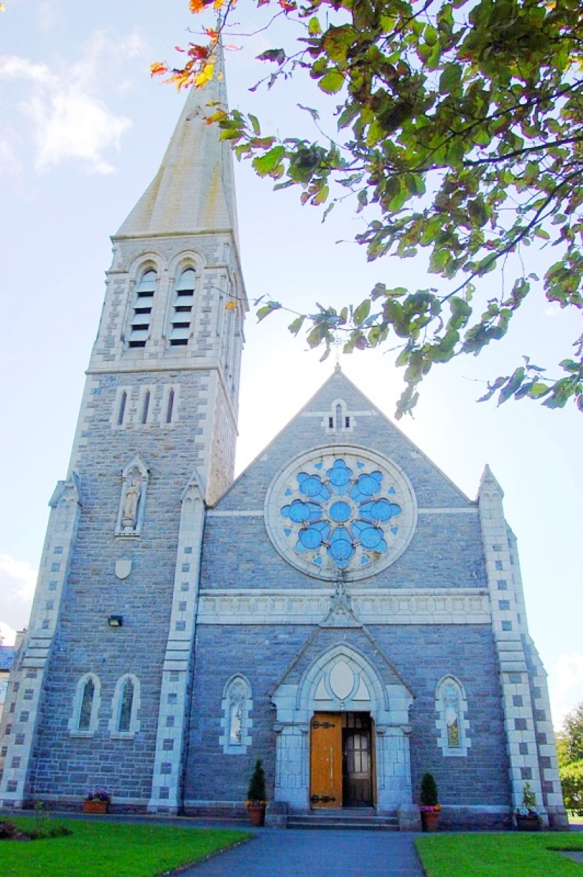 Carmelite Church or 'the White Abbey' (1)