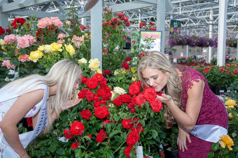 The Orchard Rose of Tralee contestants