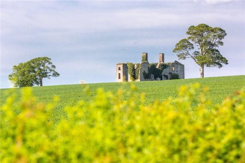 Rathcoffey Castle and Farm 7