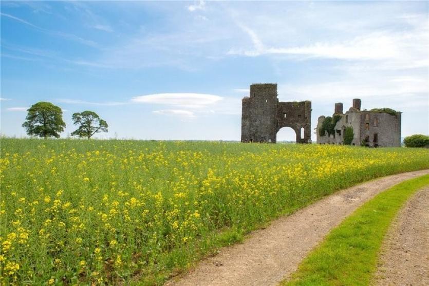 Rathcoffey Castle and Farm 2