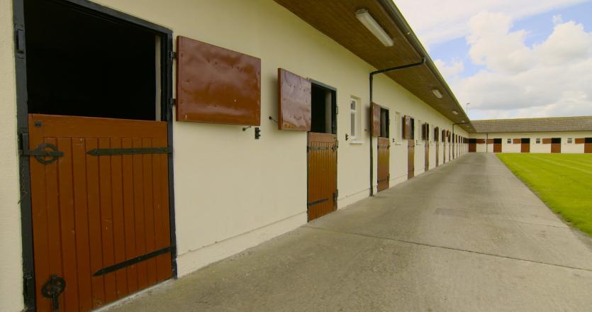 Pic-8