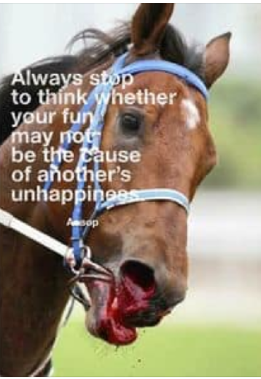 Image from Jax Lord on FB