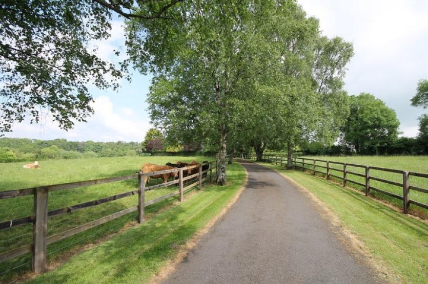 Park Hill Athgarvan 7