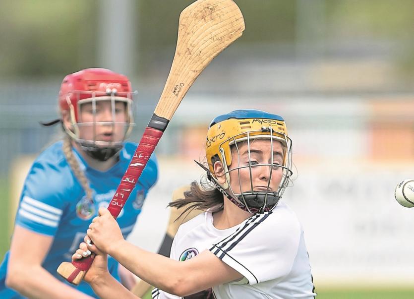 Camogie Kildare too strong for Dublin Kildare Now