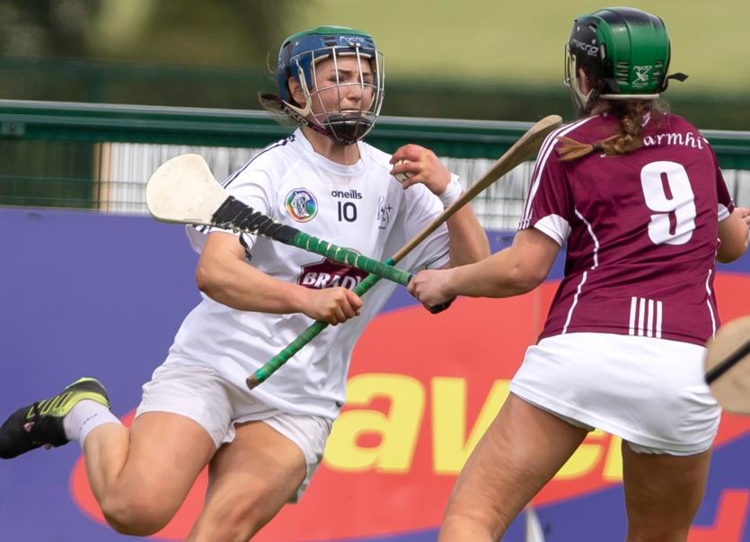 Camogie Kildare win but lose out on scoring averages Kildare Now