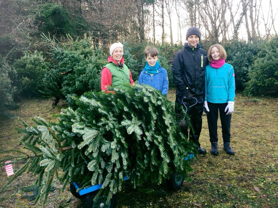Busy few days ahead for Christmas Tree depot only five minutes from M7