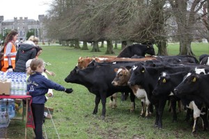 10365630_944732828979625_6982269974707029545_o