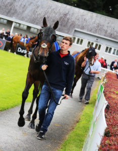 NAAS RACES 1ST AUG BANK HOL MON (4)