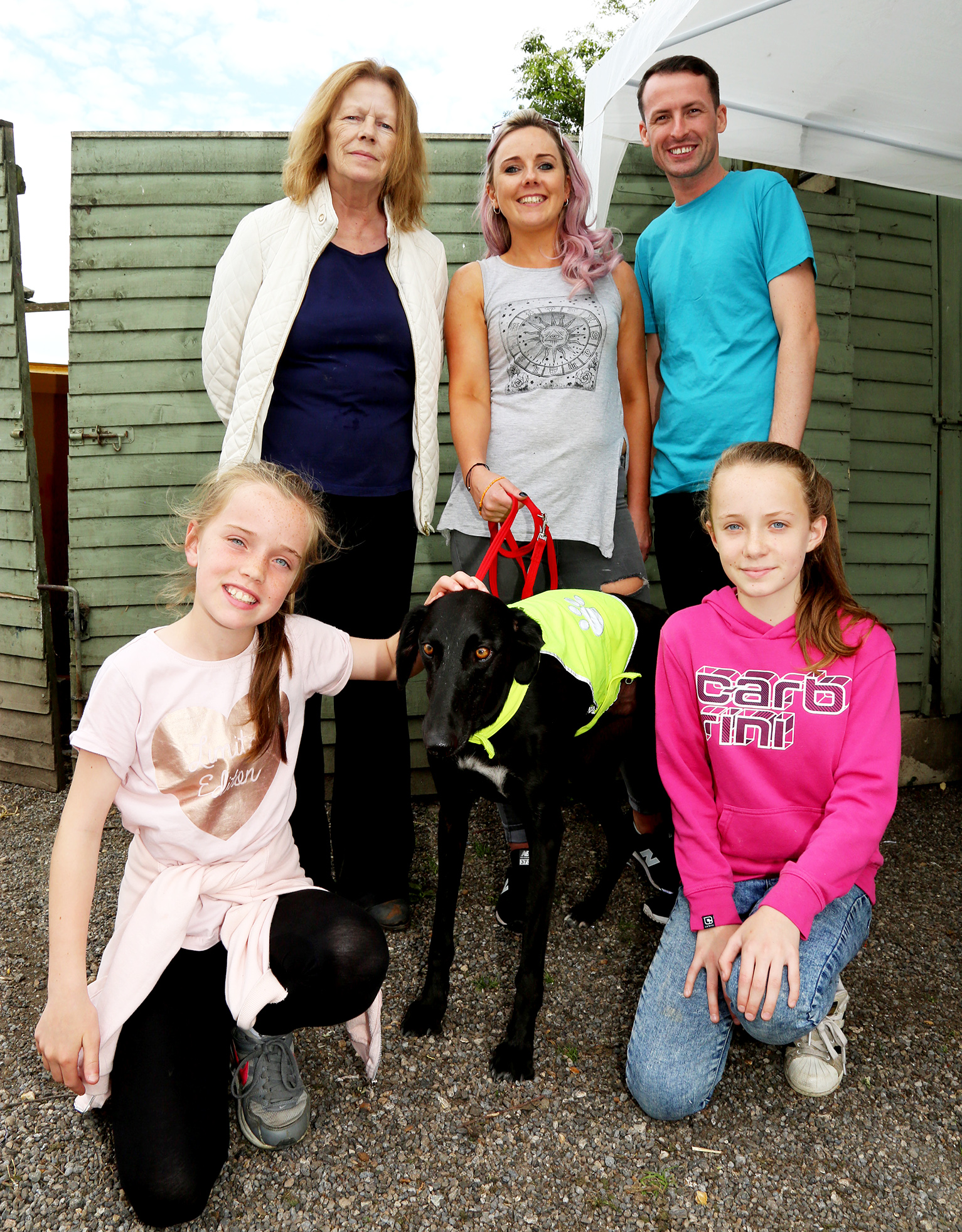 GALLERY OPEN DAY at Kildare Animal Foundation Photo 1 of 25