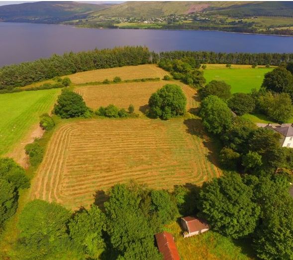 Lakeside cottage for sale in Blessington Photo 1 of 2 Kildare Now