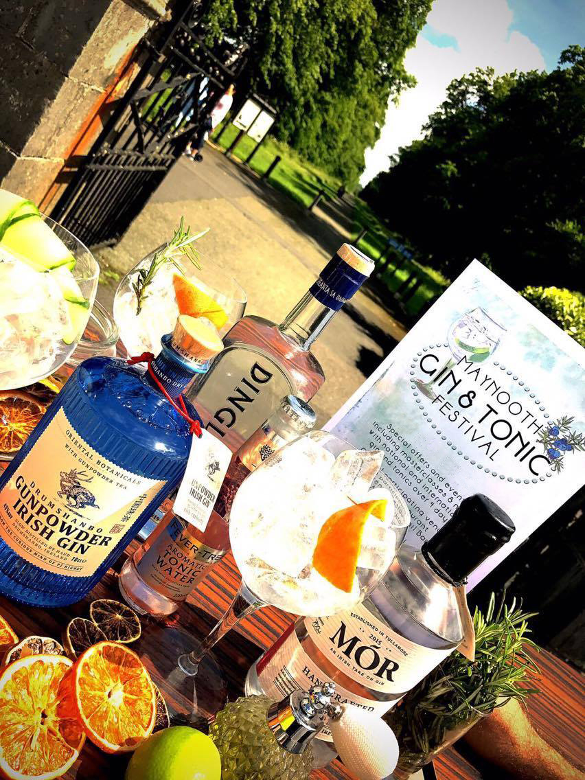 Gin and Tonic Festival coming to Maynooth Photo 1 of 4 Kildare Now