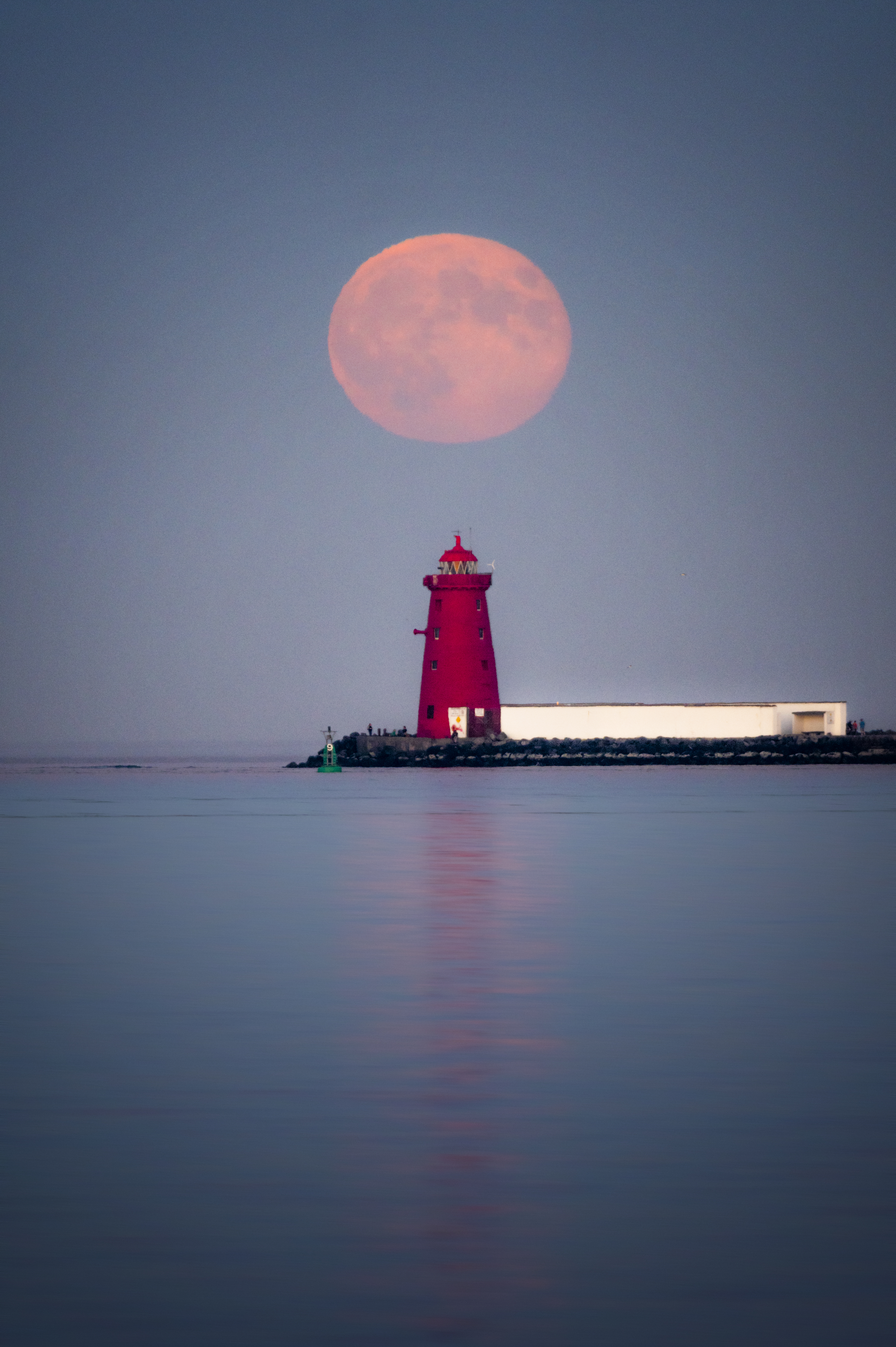 Stunning shot of 'Strawberry Moon' over Poolbeg Lighthouse Photo 1 of