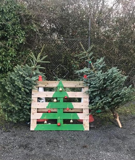 Mattress and household rubbish dumped outside Christmas Tree recycling