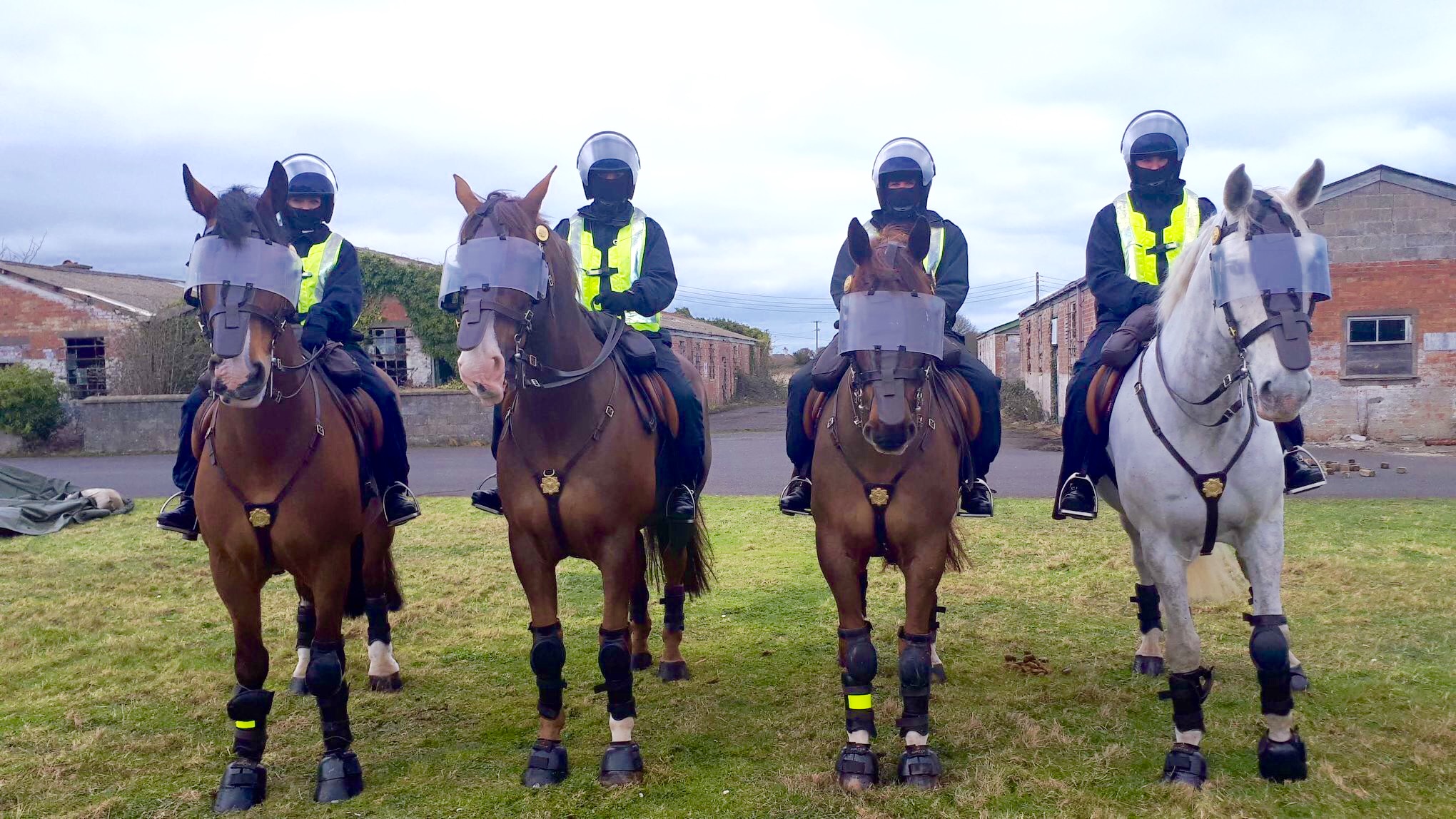 Garda Mounted Unit ready for public order situations Photo 1 of 3