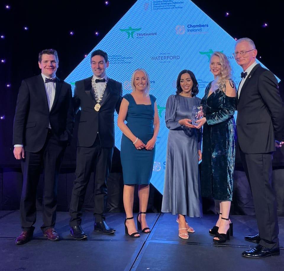 Kildare County Council wins accolade at Excellence in Local Government