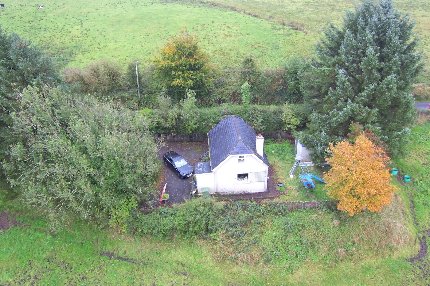PHOTOS: Kildare house hunters! Charming house on one acre with €90k ...
